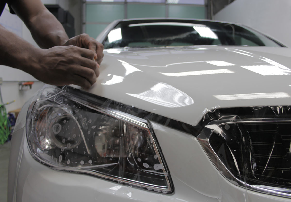 Residential & Commercial Window Tinting Scottsdale, AZ Cactus